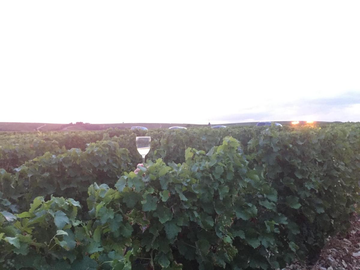 Le Logis St Pere Villa Sancerre Eksteriør bilde